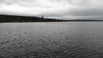 DSC00599