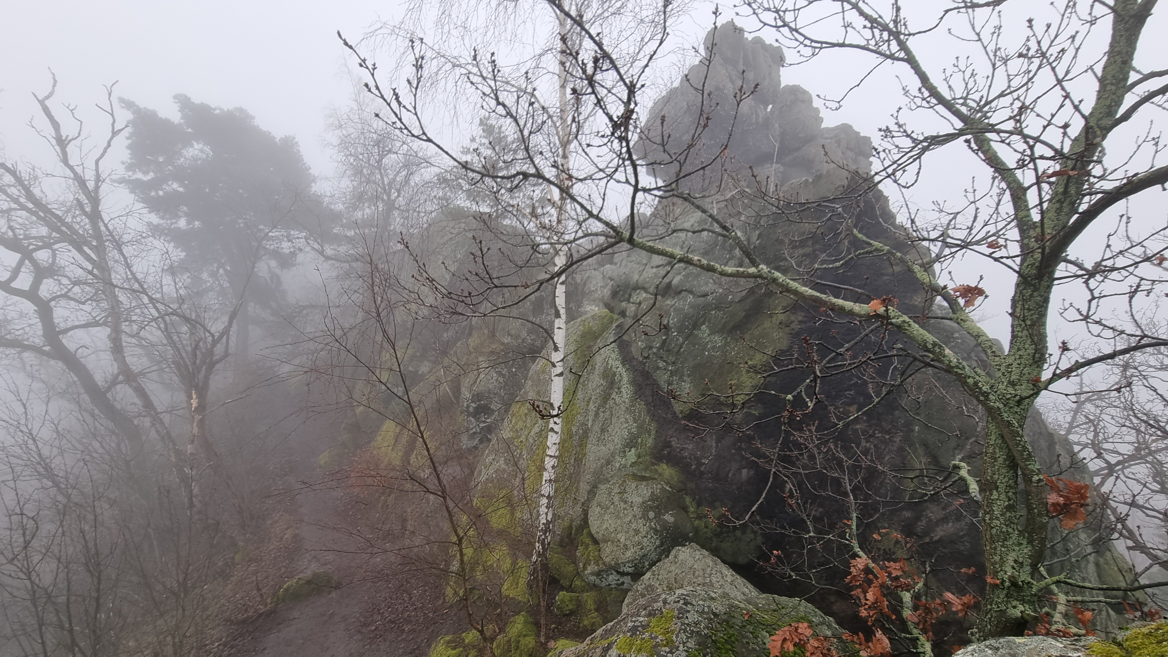111 Drachenrucken